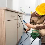 Termite Control Solana Beach