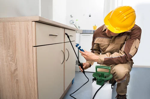 Termite Control Solana Beach