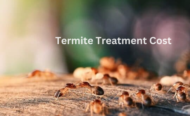 Termite Treatment Cost San Marcos