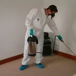 Termite Pest Control Carlsbad