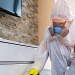 Termite Treatment Solana Beach