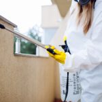 Termite Control La Jolla