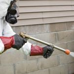 Termite Control Near Me Carlsbad