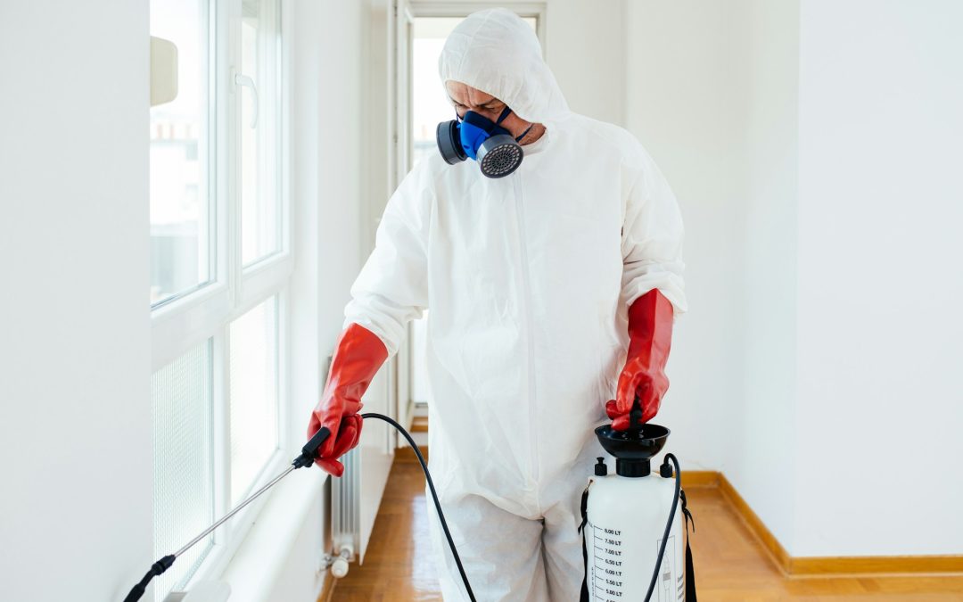 Termite Control San Marcos