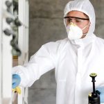 Termite Pest Control Solana Beach