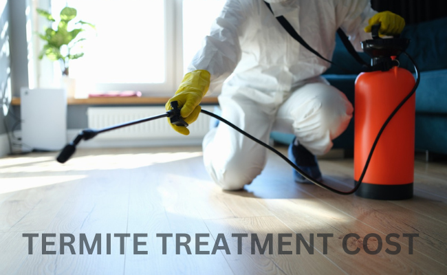 Termite Treatment Cost La Jolla