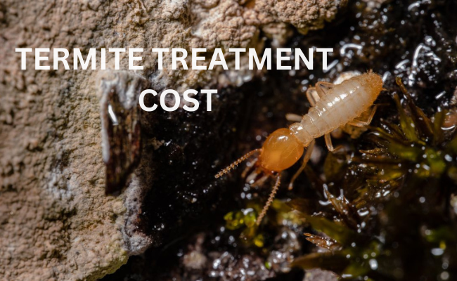 Termite Treatment Cost Vista