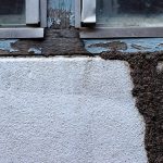 Termite Control Near Me Rancho Santa Fe