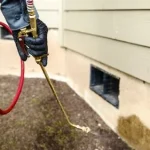 Termite Control Near Me Escondido