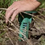 Termite Treatment Mission Beach