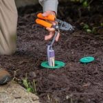 Termite Treatment Carlsbad