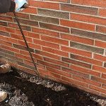 Termite Treatment Oceanside