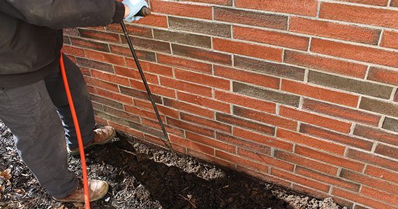 Termite Treatment Oceanside