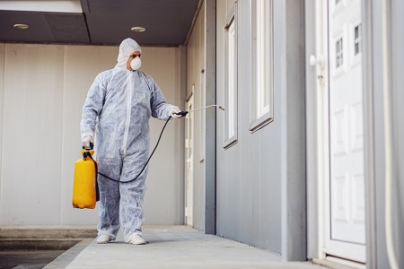 Termite Control Near Me Poway