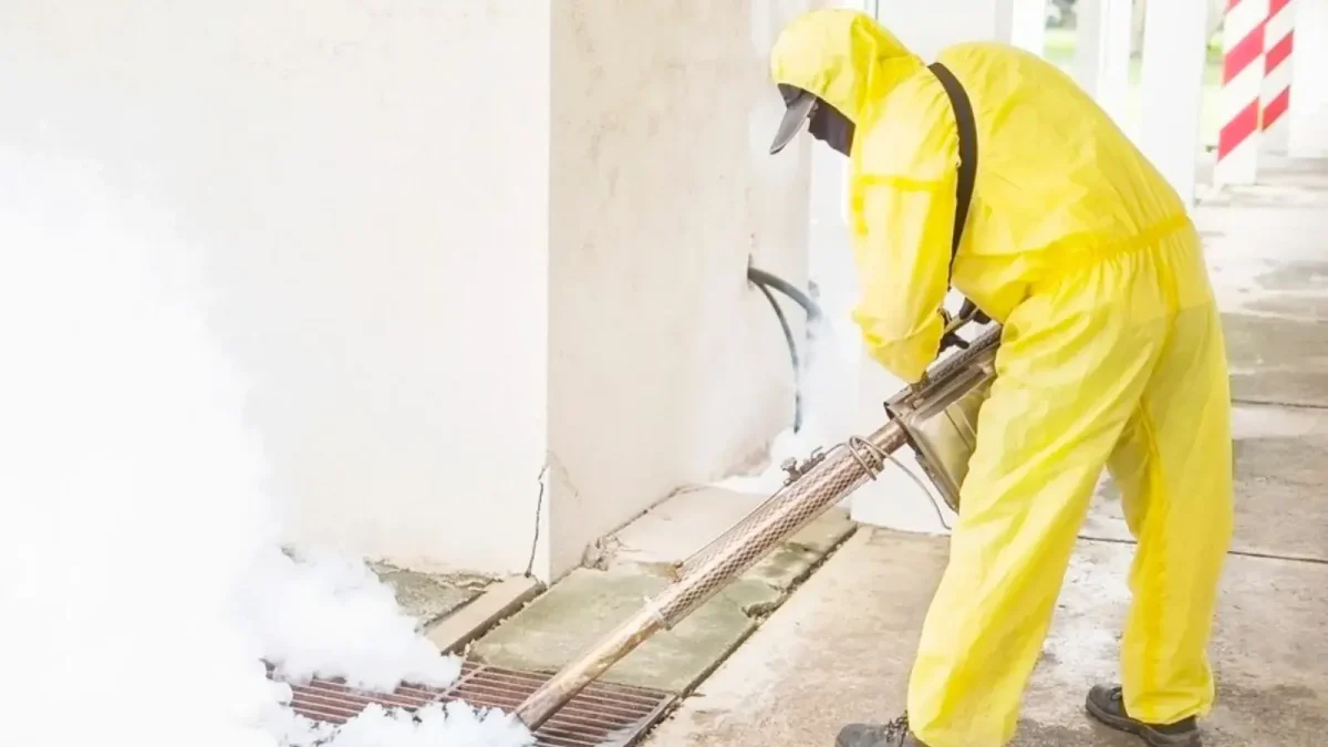 Termite Control Vista