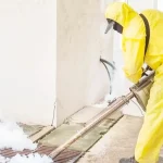 Termite Control Vista
