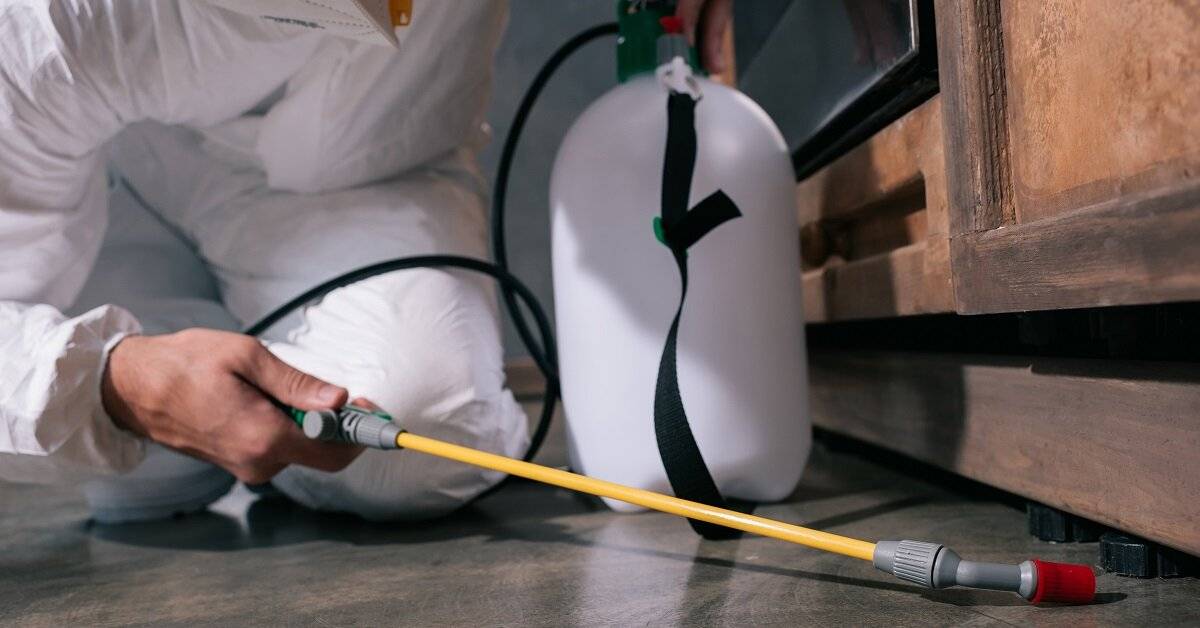 San Marcos Termite Control