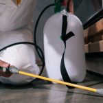 Termite Pest Control Mission Beach
